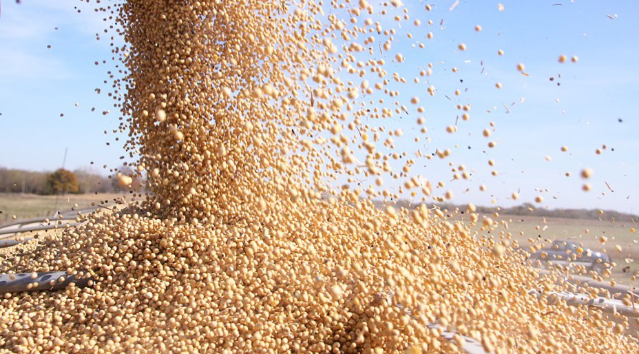 Retenciones: las cerealeras ponen el crisis la liquidación