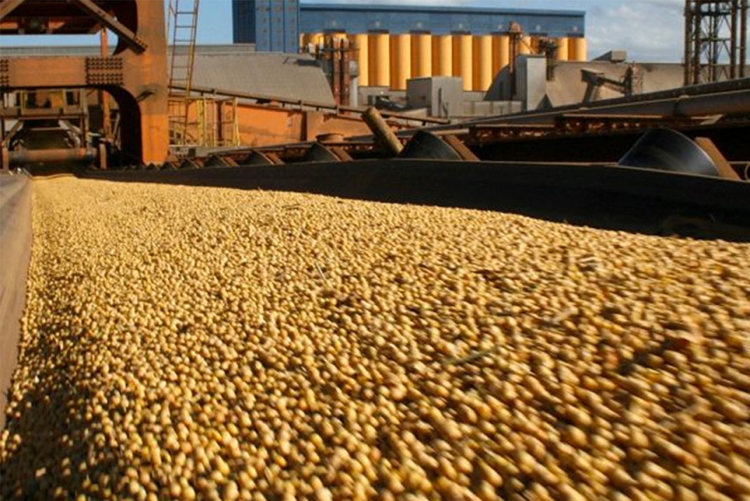 Trigo/soja: el 40% de su valor bruto de exportación será para pagar impuestos