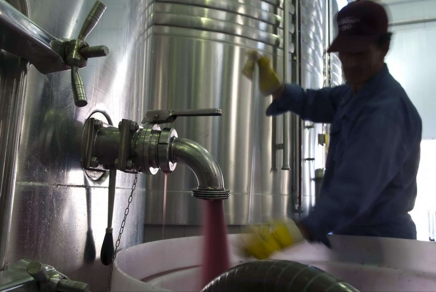 CAME :el sector vitivinícola atraviesa una situación de «quebranto generalizado»