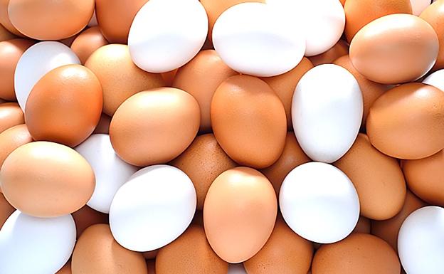 Productores avícolas pidieron una rebaja del IVA e incluir al huevo en planes sociales