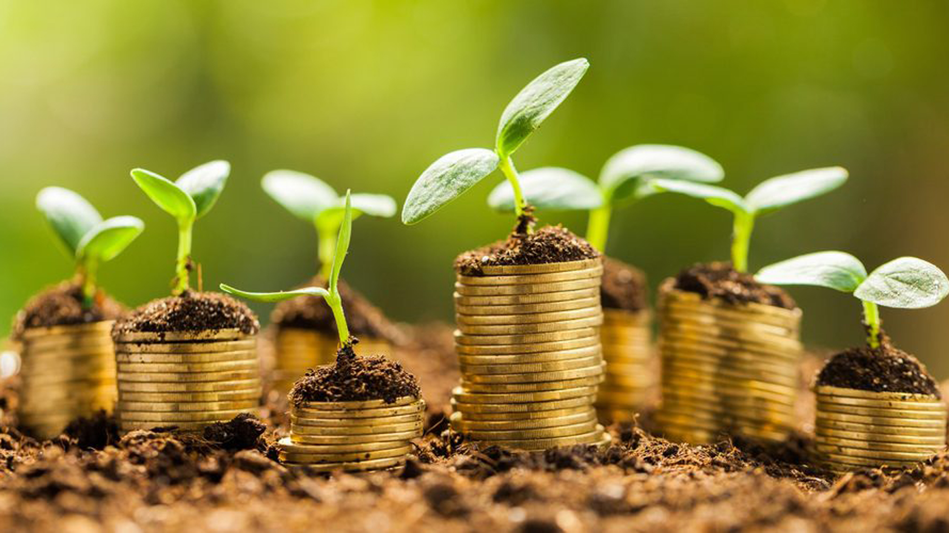 «Bancos verdes» lanzaron el primer Protocolo de Finanzas Sostenibles