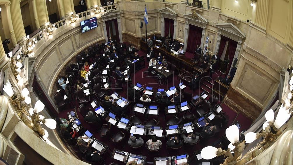 Diputados y Senadores repudiaron el golpe de Estado en Bolivia