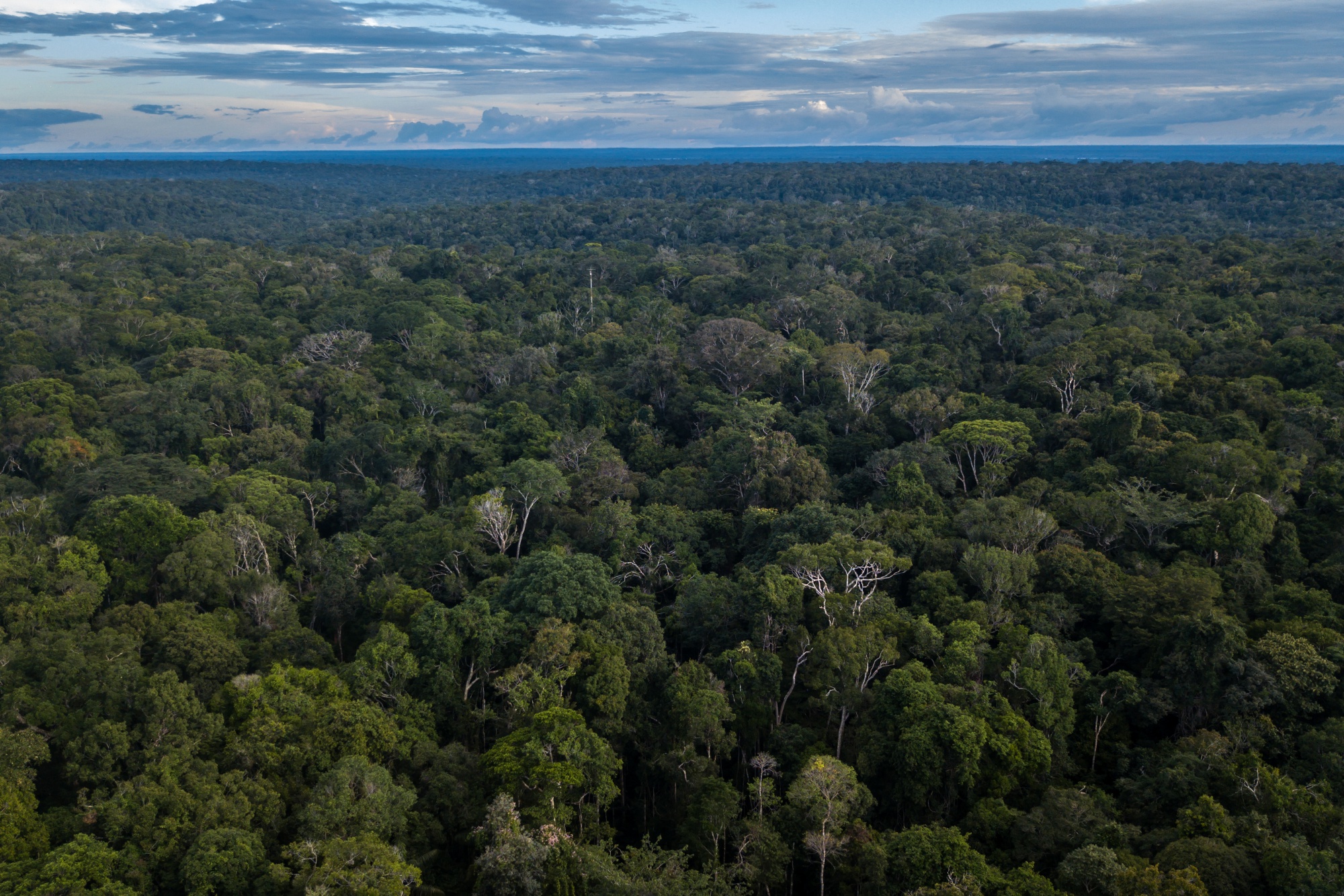 Inversores globales advierten a Brasil por la deforestación amazónica