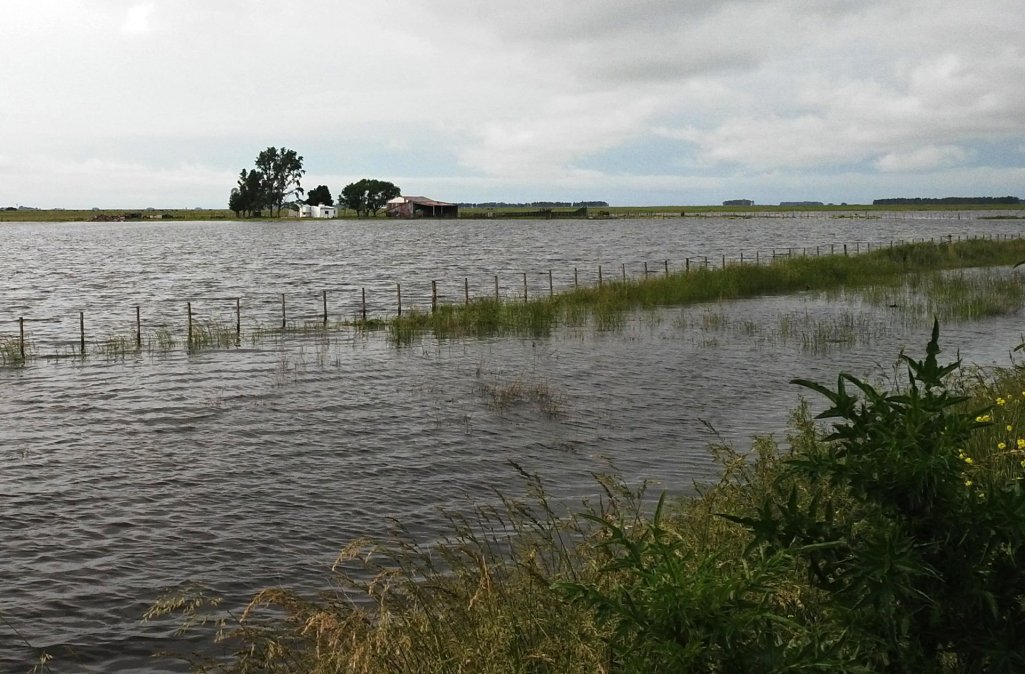 Gobierno declara  «emergencia y desastre agropecuario» en Corrientes