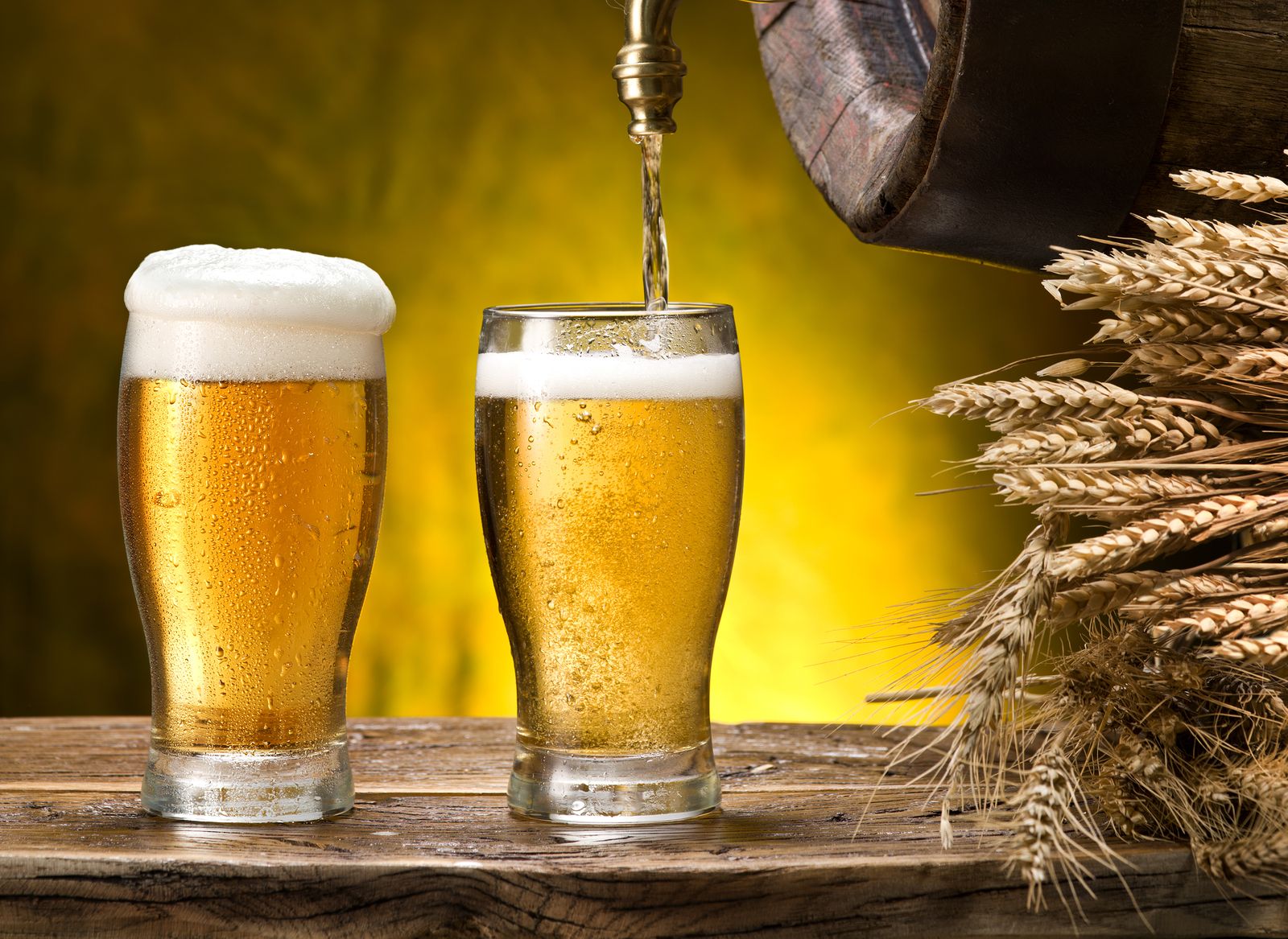 Argentina busca colocar más de su cebada en las cervezas de China