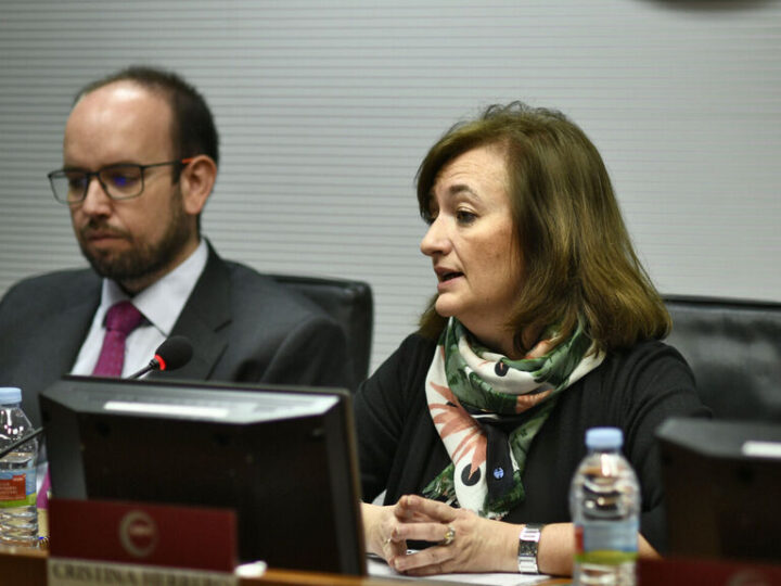 Cristina Herrero: «Hay que cumplir con la Ley de Estabilidad»