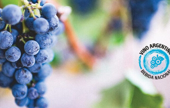 Exportaciones de vinos las mayores en 12 años