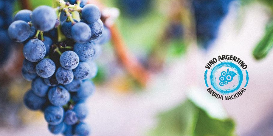 Exportaciones de vinos las mayores en 12 años