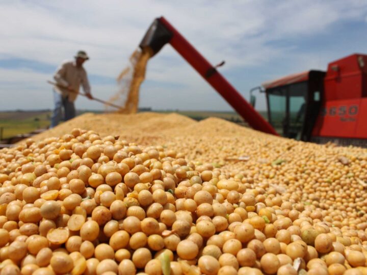 Entre mayo y octubre aumentó la exportación de soja en 10M de toneladas