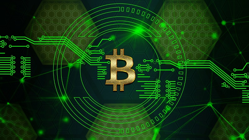 DonWeb cotiza el Bitcoin a 80 mil dólares