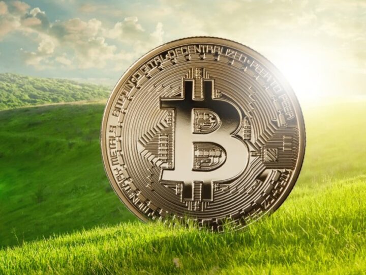Henrik Fisker: “Bitcoin no es una solución sostenible”