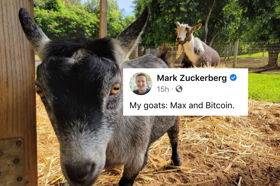 Zuckerberg le puso “Bitcoin” a su cabra