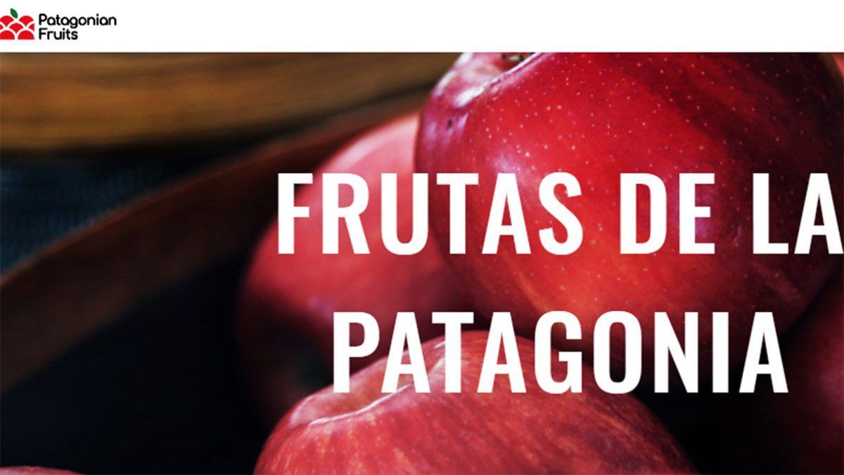 Patagonian Fruits Trade concretó la colocación de ONs por $206 millones