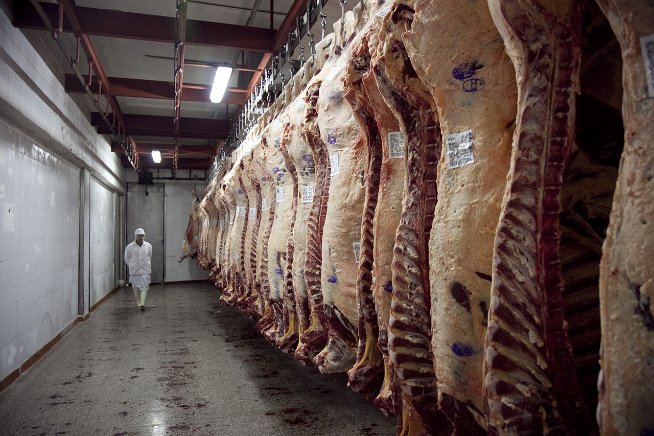 En junio cayó 45% la exportación de carne