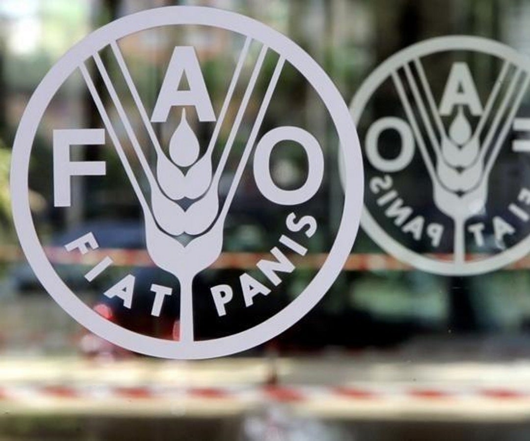 Índice FAO:  Los precios de los alimentos en América del Latina están en niveles altos
