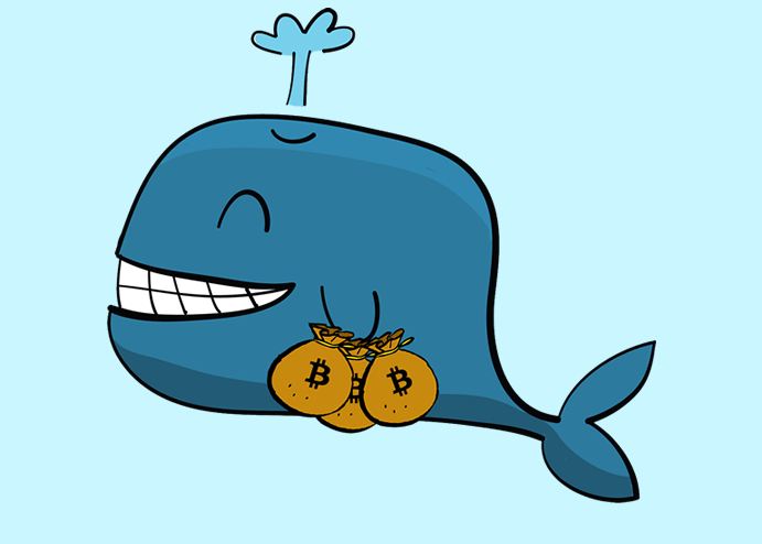 Ballenas están acumulando bitcoin de nuevo