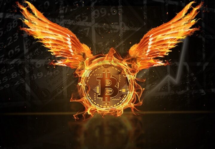 Bitcoin a US$ 43.000 en lo más alto desde mayo