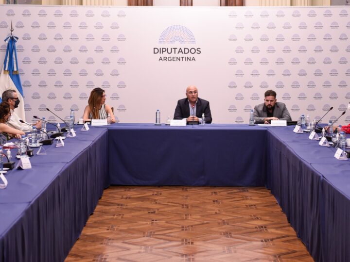II Jornada de diálogo «Litio en Argentina»: Escenario actual y perspectiva de futuro