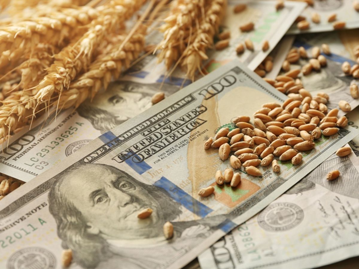 La sequía afecta fuertemente el ingreso de divisas del agro