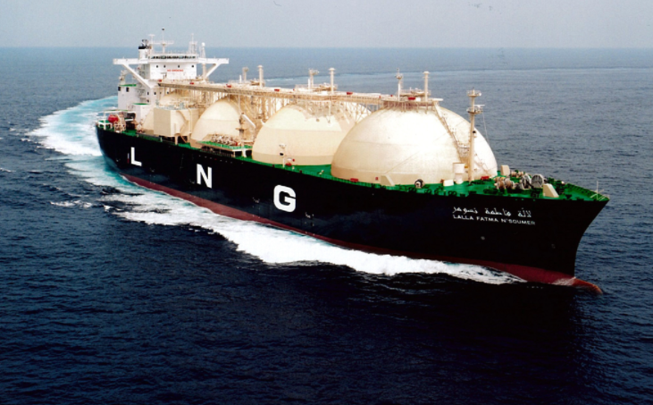 Sin dólares para LNG Argentina debería aplicar cortes de gas en invierno