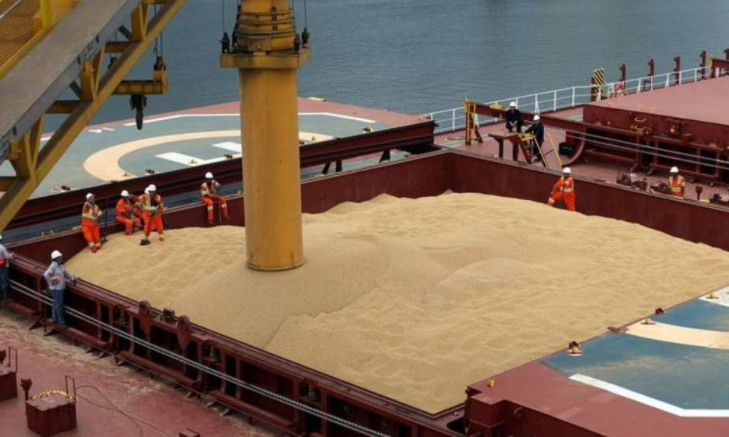 El campo en alerta: Cierran exportación de derivados de la soja, afecta harina y aceite