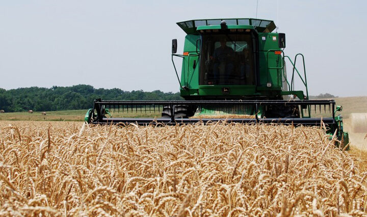 Cae el precio del maíz y la soja  tras lluvias en el Medio Oeste