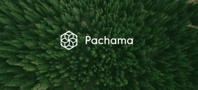 Carbono forestal: Pachama logró  US$ 55 M para impulsar el mercado