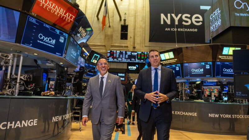 Baja selectiva con leves pérdida en el NYSE