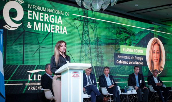 Flavia Rayón: El sector del oil y gas tiene mucho know-how para transferirle al litio