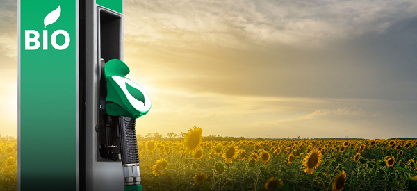 Los biocombustibles aumentaron un 6,6%