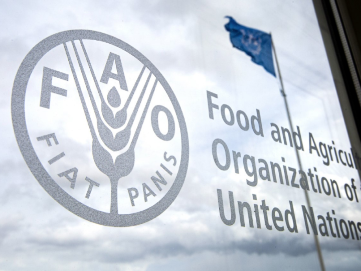 La FAO potencia la agricultura familiar en Latinoamérica ante la crisis alimentaria