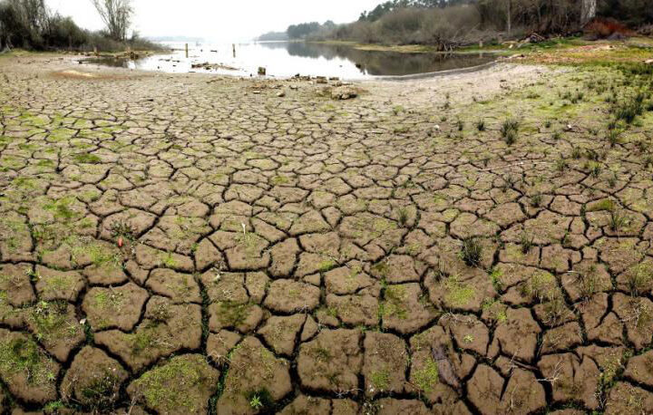 Sequía: Llegó pero no fue suficiente