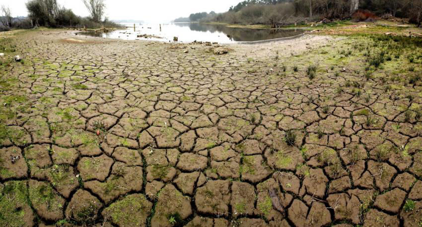Sequía: Llegó pero no fue suficiente