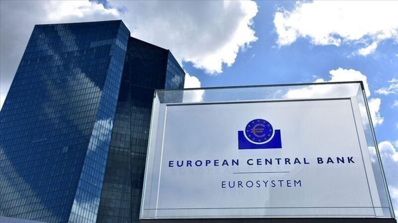 Los préstamos a empresas de la zona euro caen por la contracción de la economía -datos del BCE