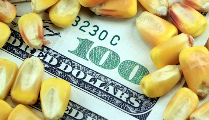 ¿Se viene el dólar maíz? El gobierno busca alternativas para recaudar unos us$2900 millones