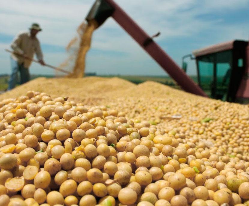 Elección argentina da a traders de harina de soja un nuevo factor a evaluar