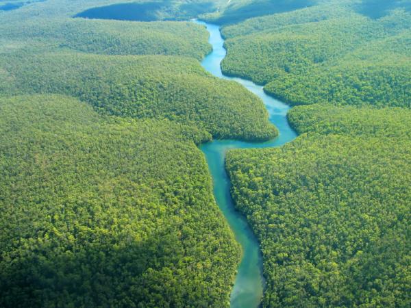 La cumbre de naciones amazónicas afronta discrepancias sobre el petróleo y la deforestación