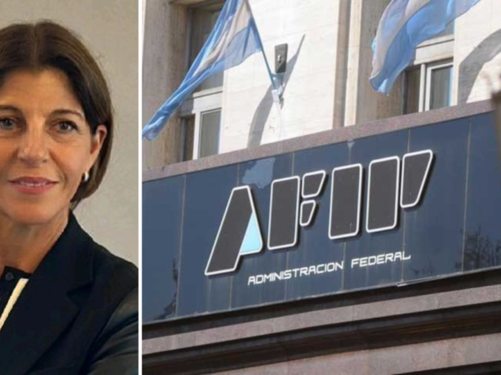 Renunció Michel y Misrahi asume en AFIP