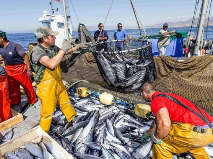 Ley ómnibus y los efectos negativos sobre la industria pesquera