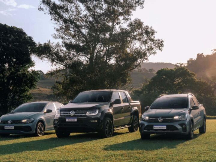 Polo Robust: VW lanzó en Brasil un auto económico para usar en el campo